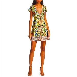 Alice + Olivia Hadley Floral Mini Fit & Flare SZ 4